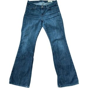 Gap 1969Jeans SIze 8R